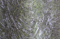 Roskorwell fibreglass roof work